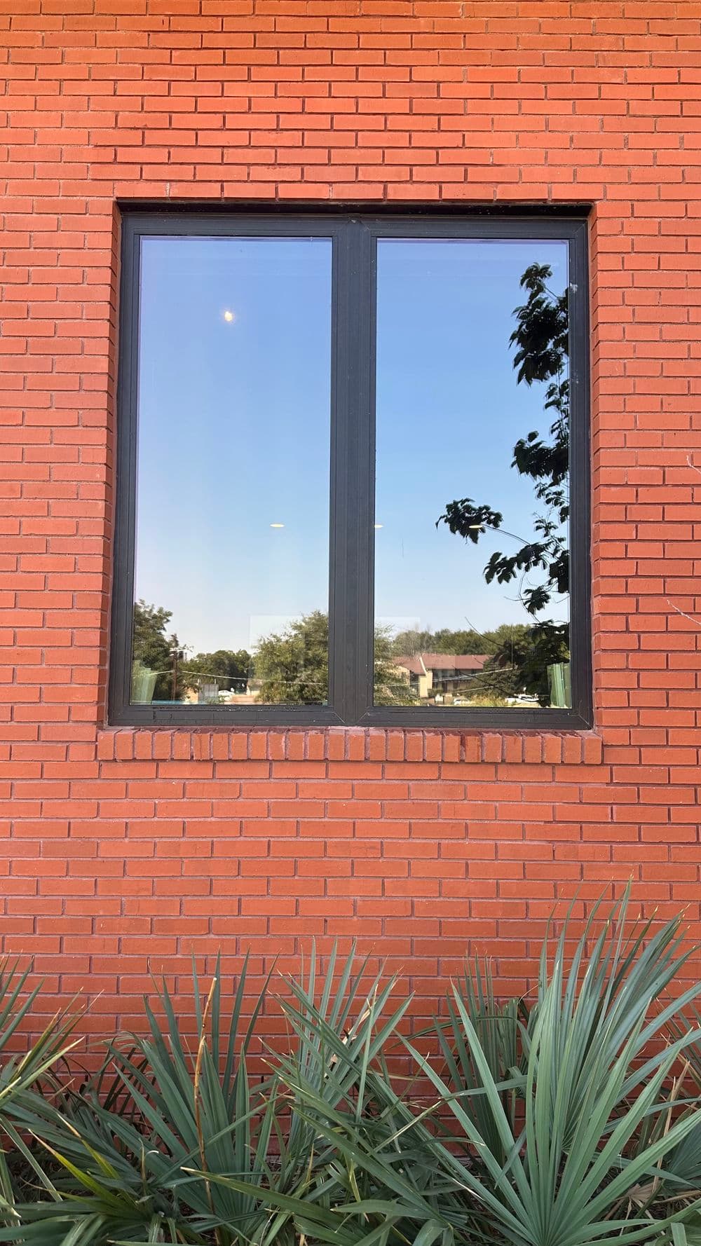 Modern black frame window on a red brick wall with green plants in the foreground.
