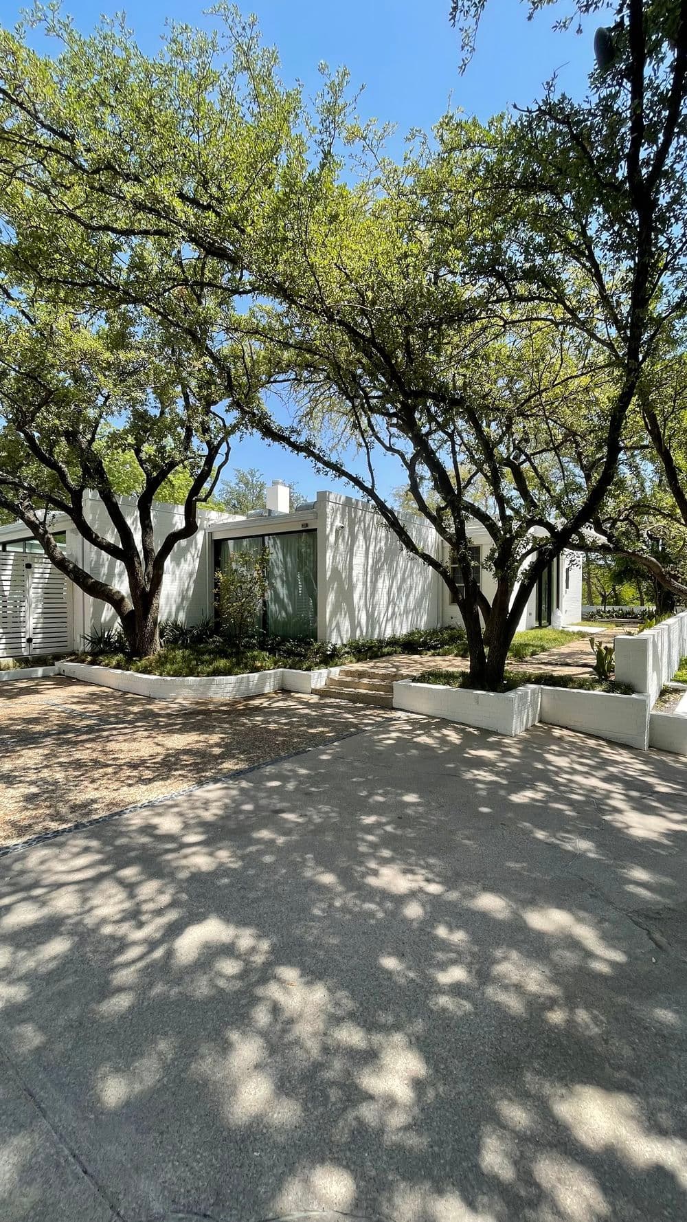 Modern home under large trees with a landscaped driveway and clear blue sky.
