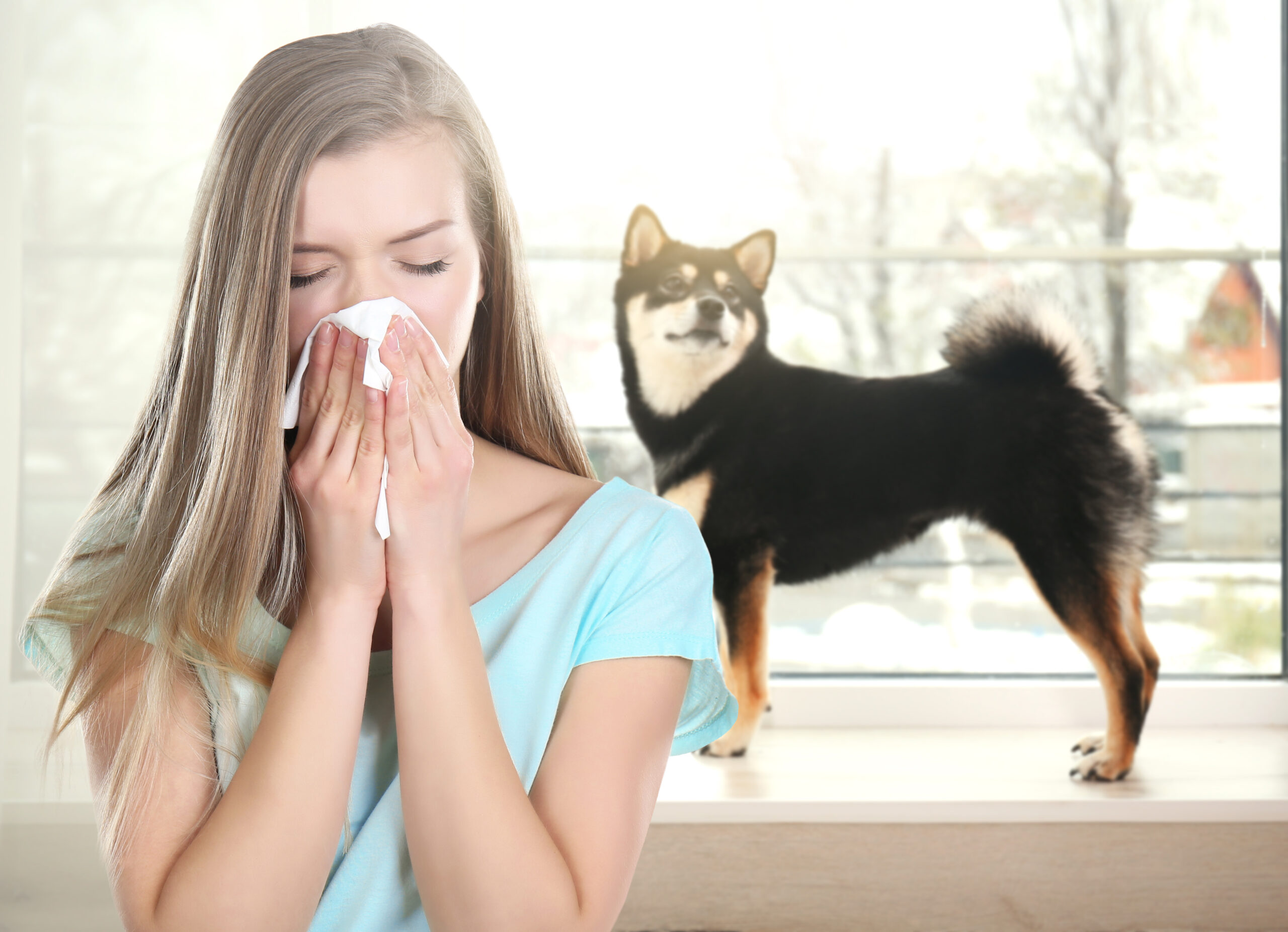 How Cleaning Your Outdoor Windows Improves Indoor Allergens